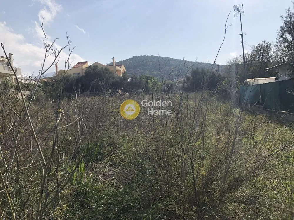 Aed - Plot with Forest View in Kalivia - Lagonisai
