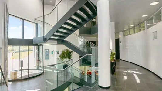 Stanze - Office Space with DGNB Gold Certification in Kolding Nord