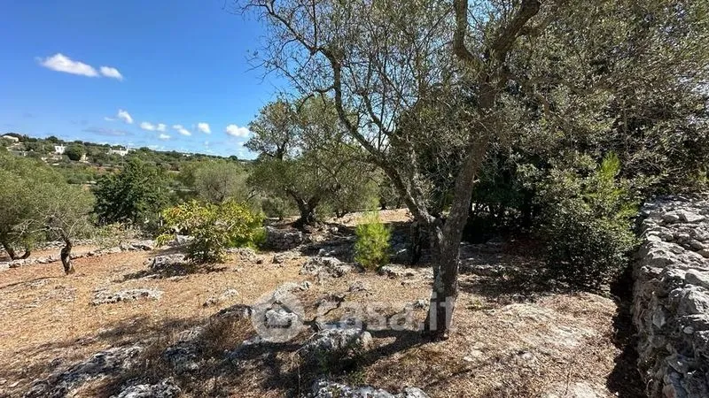 Jardin - Rustic Casale with Pool in Ostuni