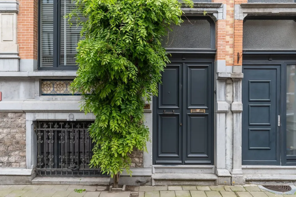 Välivaade - Character House with Garden in Berchem's Vijfhoek