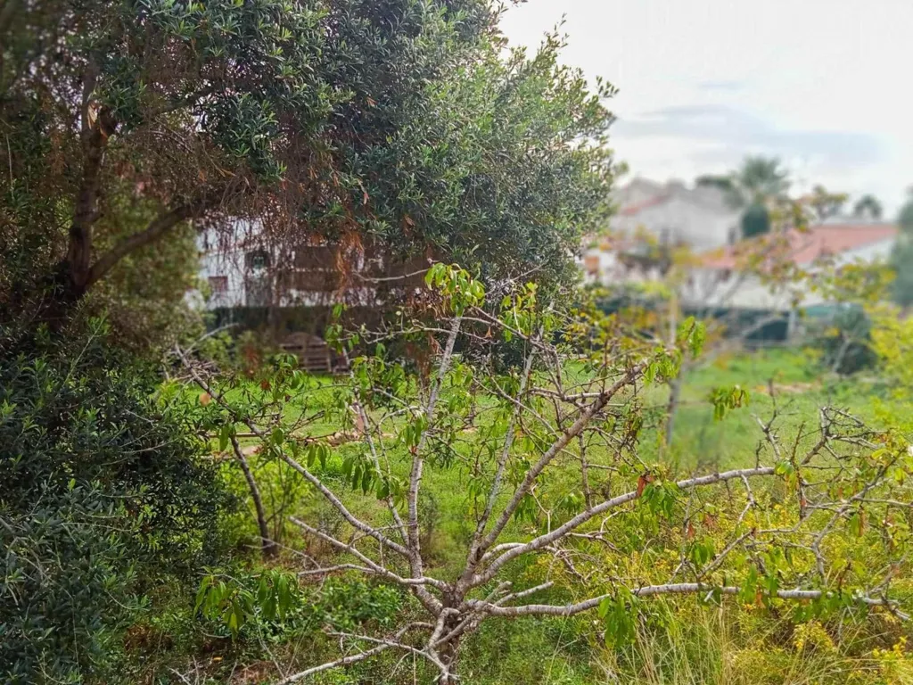 Jardin - Buildable Plot with Sea View in Cunit