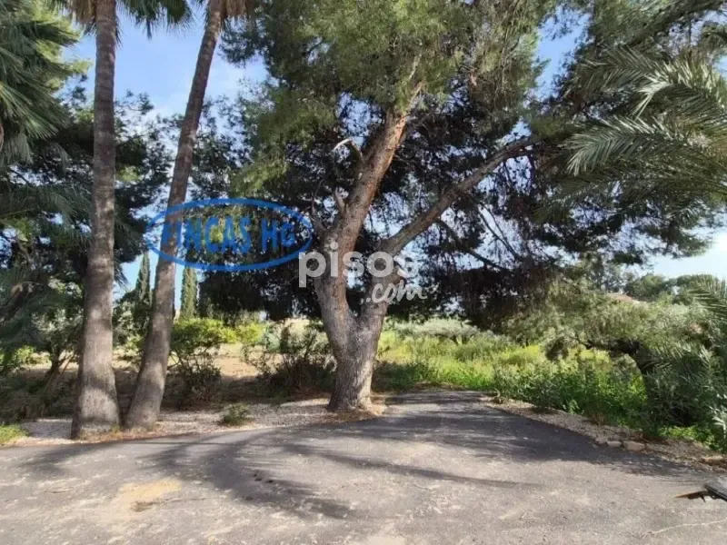 Extérieur - Estate with Pool and Garden in Mutxamel