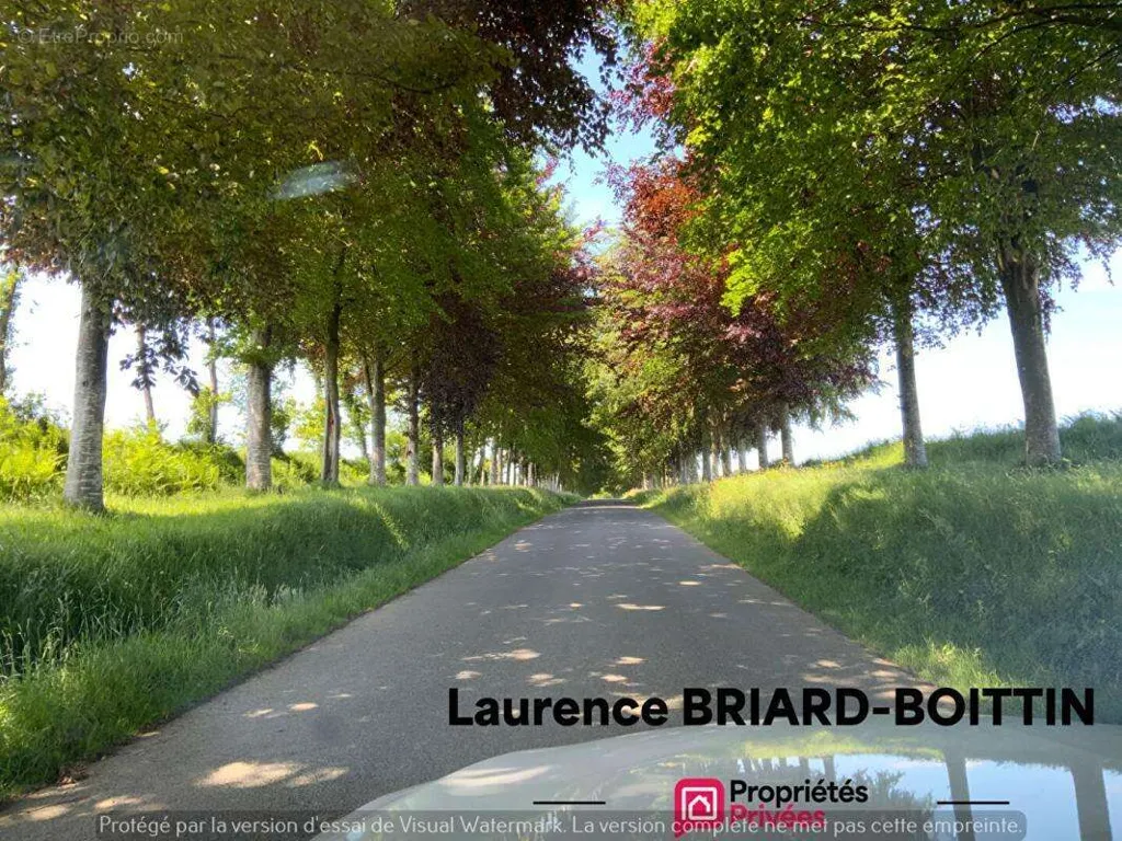 Välivaade - Renovable Building Plot with Valley View in Montbray