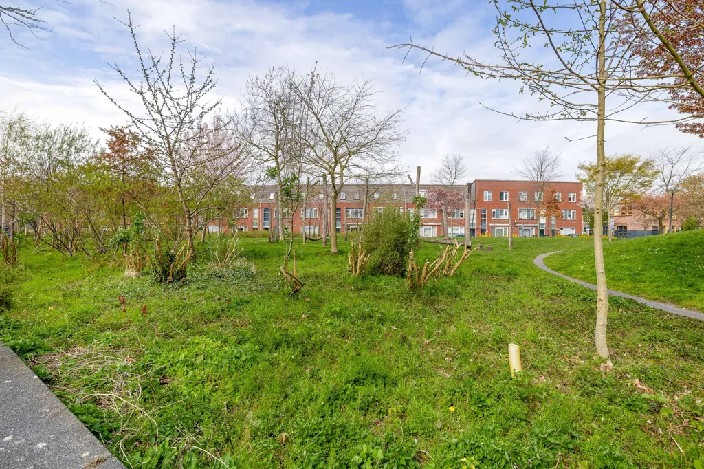 Jardin - Maison 4 pièces à Utrecht