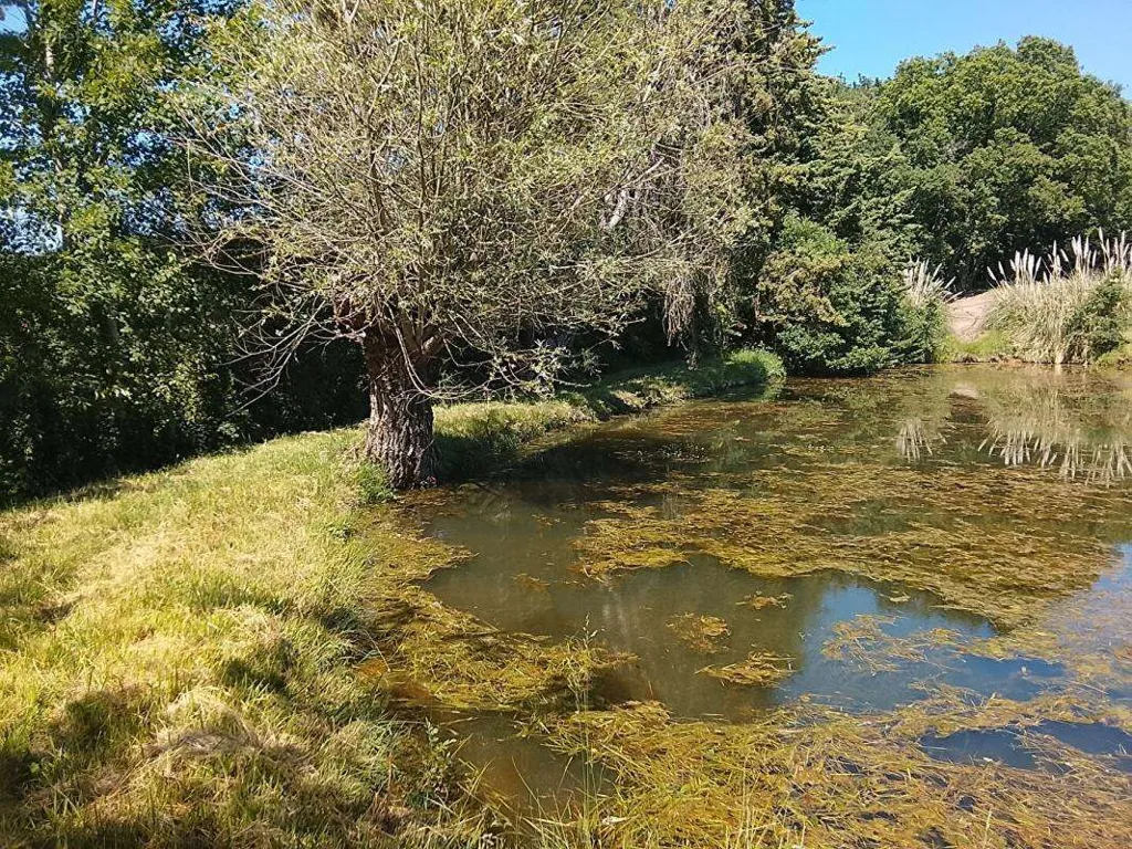 Terrain à Lureuil