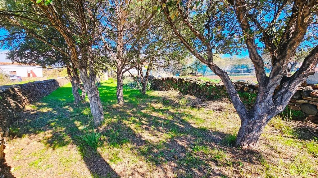 Jardin - Villa with West Views in Almonaster la Real
