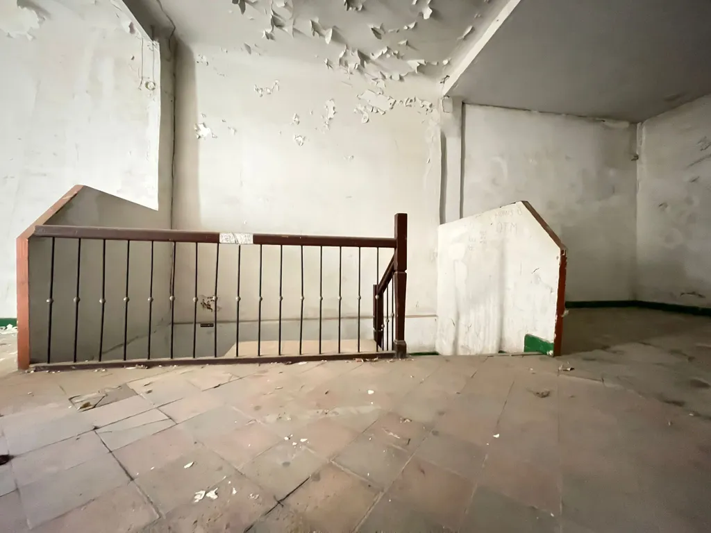 Toad - 1-Bedroom House for Renovation in Elda