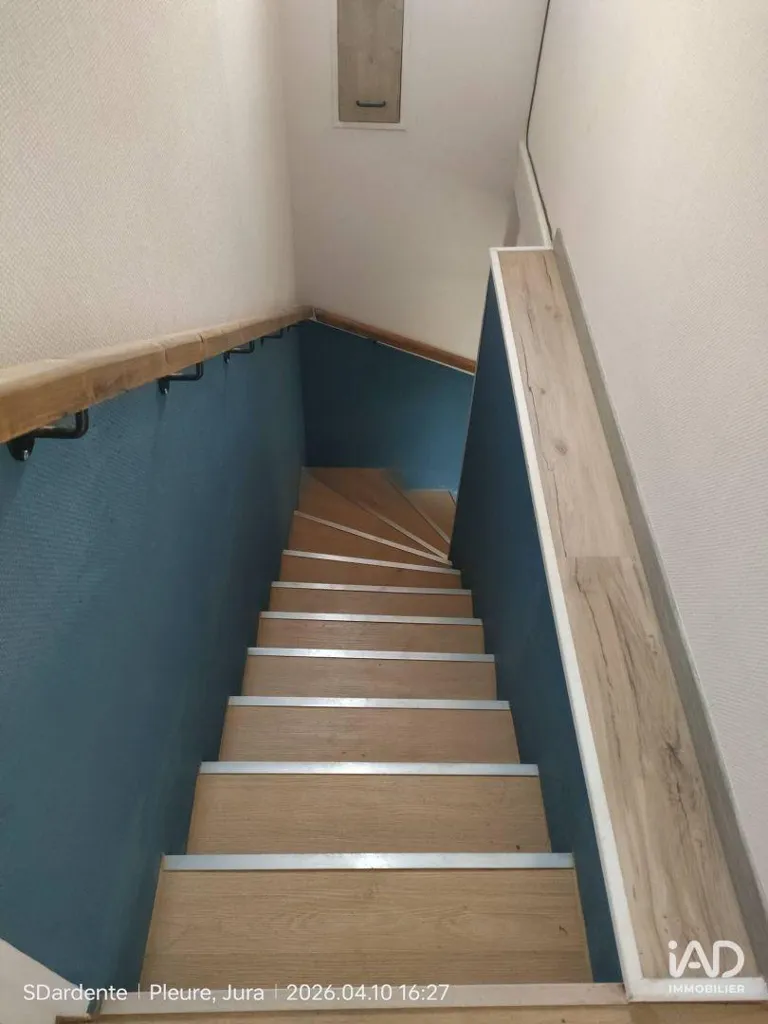Toad - Renovated House with Land in Pleure