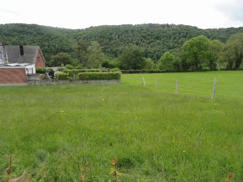 Jardin - Terrain à Bâtir Calme avec Vue sur la Vallée de la Vesdre
