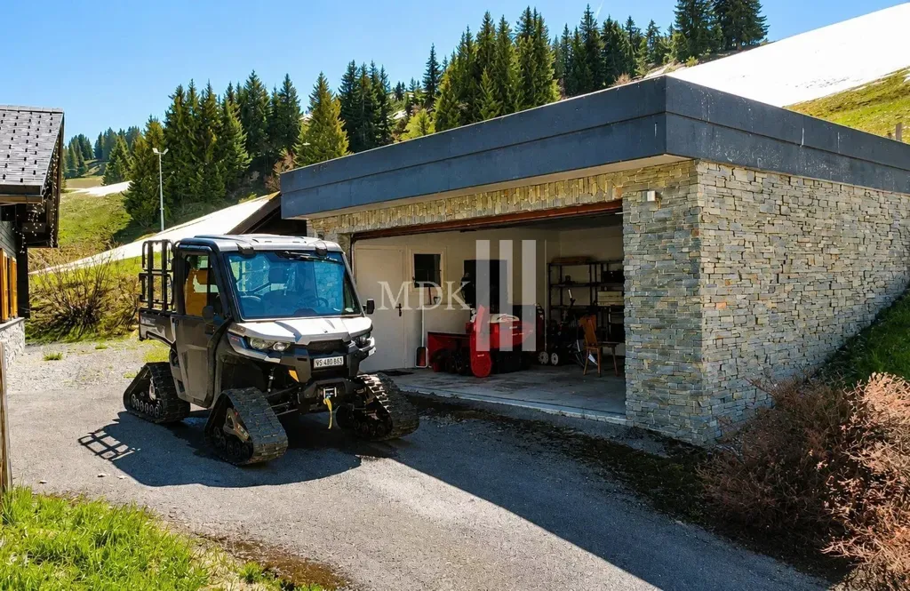 Garage - Luxury Ski Chalet with Panoramic Views in Crosets