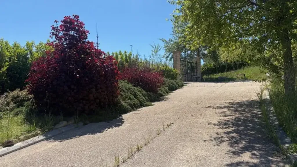 driveway