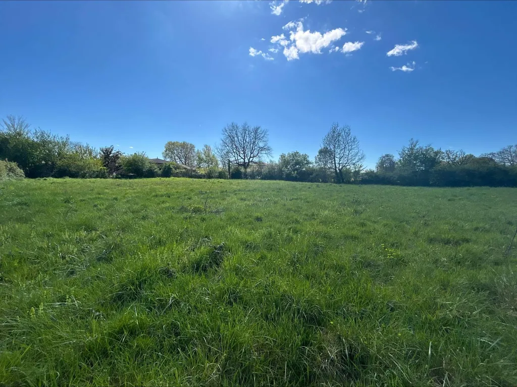 Giardino - New House with Garden in Pujaudran