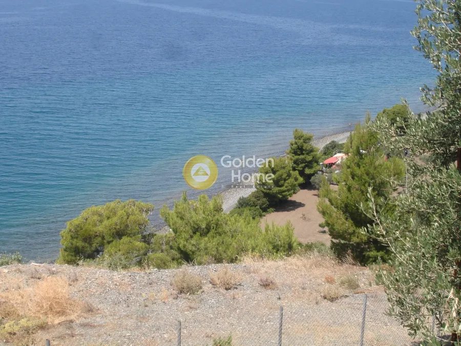 Garden - Plot with Sea View in Messapia - Nerotrivia