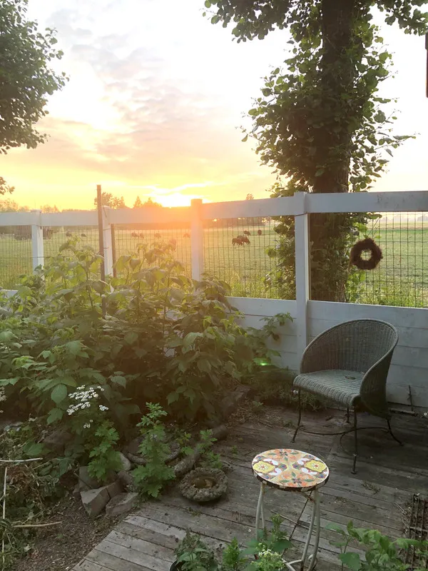 Terrass - Charming Villa with Parkland Views in Maasland
