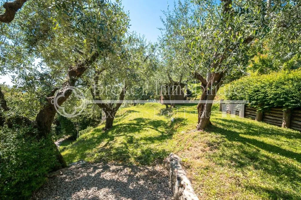 Jardin - Rustic Tuscan Casale with Pool in Massarosa