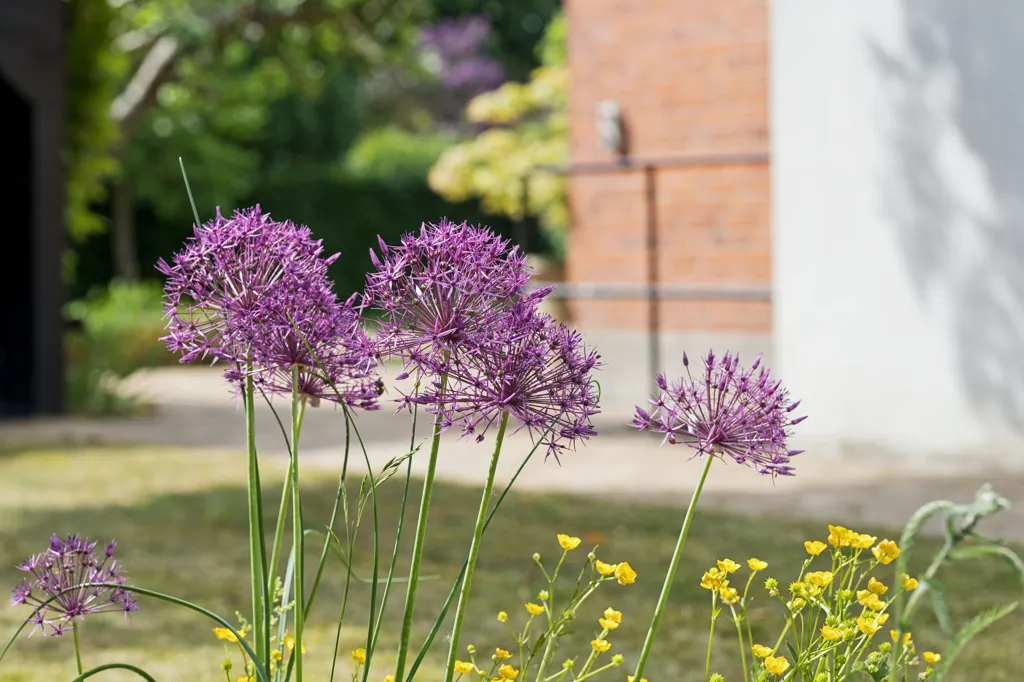 Jardin - Classical Villa with Architect-Designed Garden in Odense