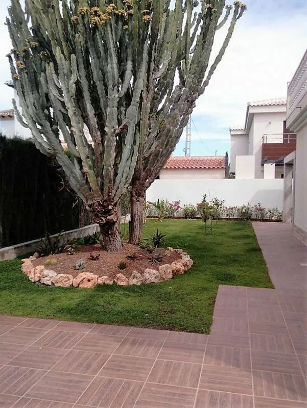Giardino - Luxury Villa with Pool in Cabo Roig, Valencia