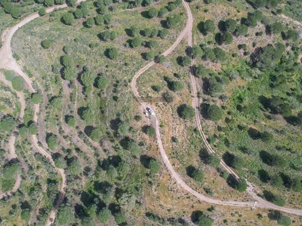 land_plot