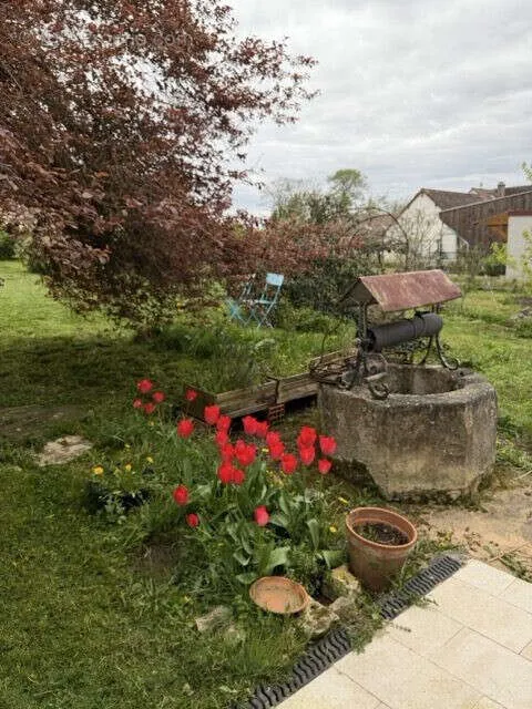 Jardin - Maison de Caractère avec Jardin à Épineuil
