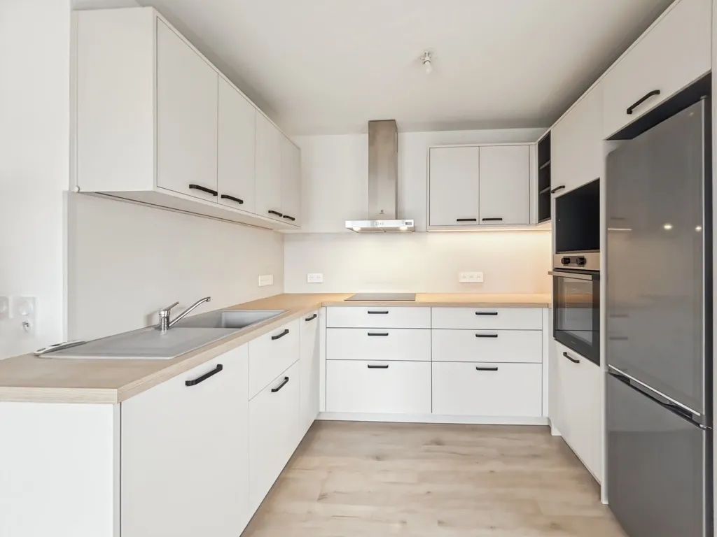 Kitchen - Bright T4 Flat with Terrace in Ferney-Voltaire