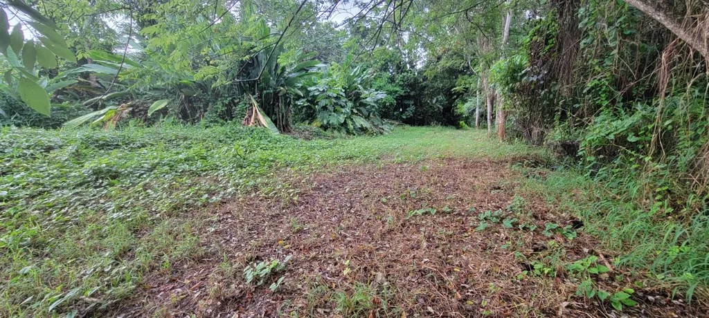 Aed - Buildable Land with Residential Potential in Petit-Bourg