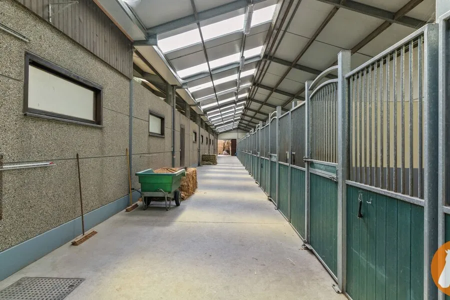 Esik - Equestrian Facility with Villa in Mechelen