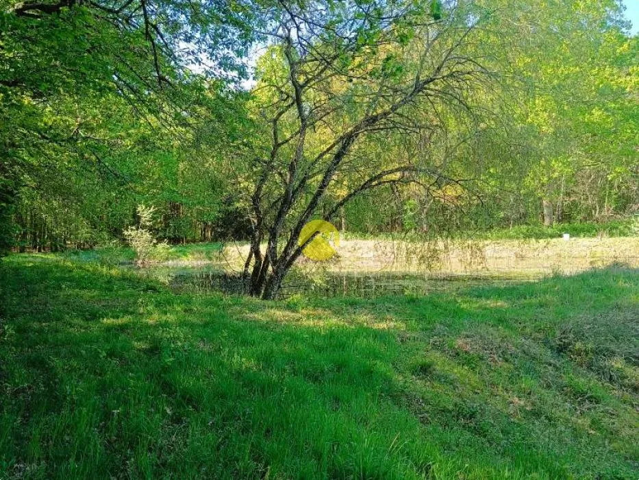 Garten - Leisure Ground with Ponds near Châteauneuf-sur-Cher