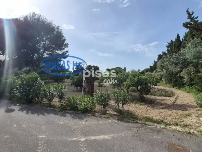 Jardin - Estate with Pool and Garden in Mutxamel