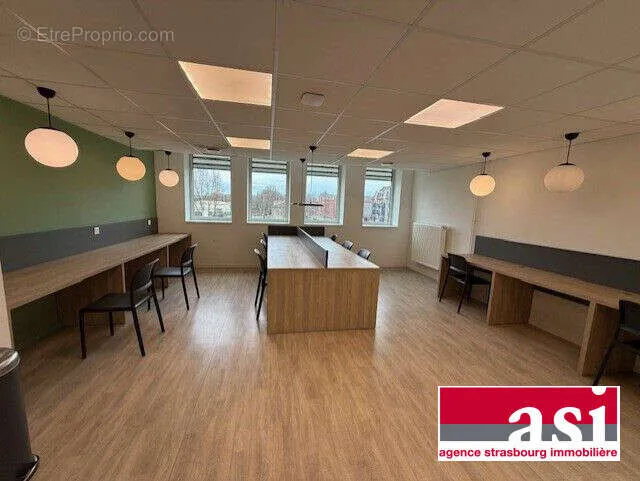 Studio - Studio with Commercial Lease in Strasbourg Centre