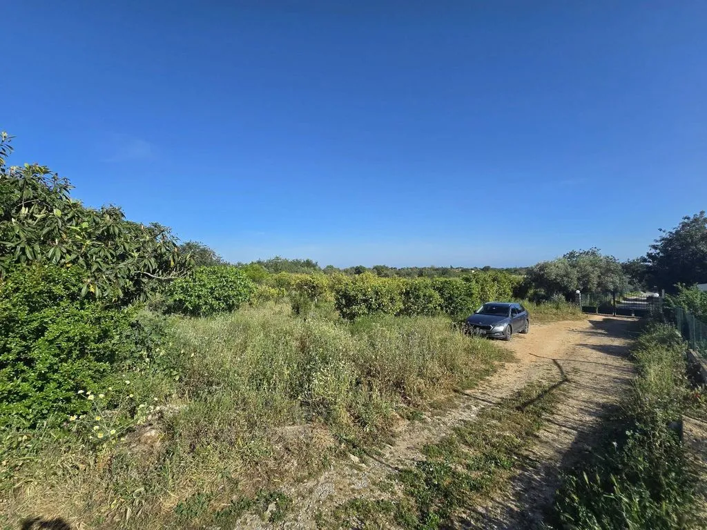 Jardin - Farmhouse with Fruit Trees near Tavira