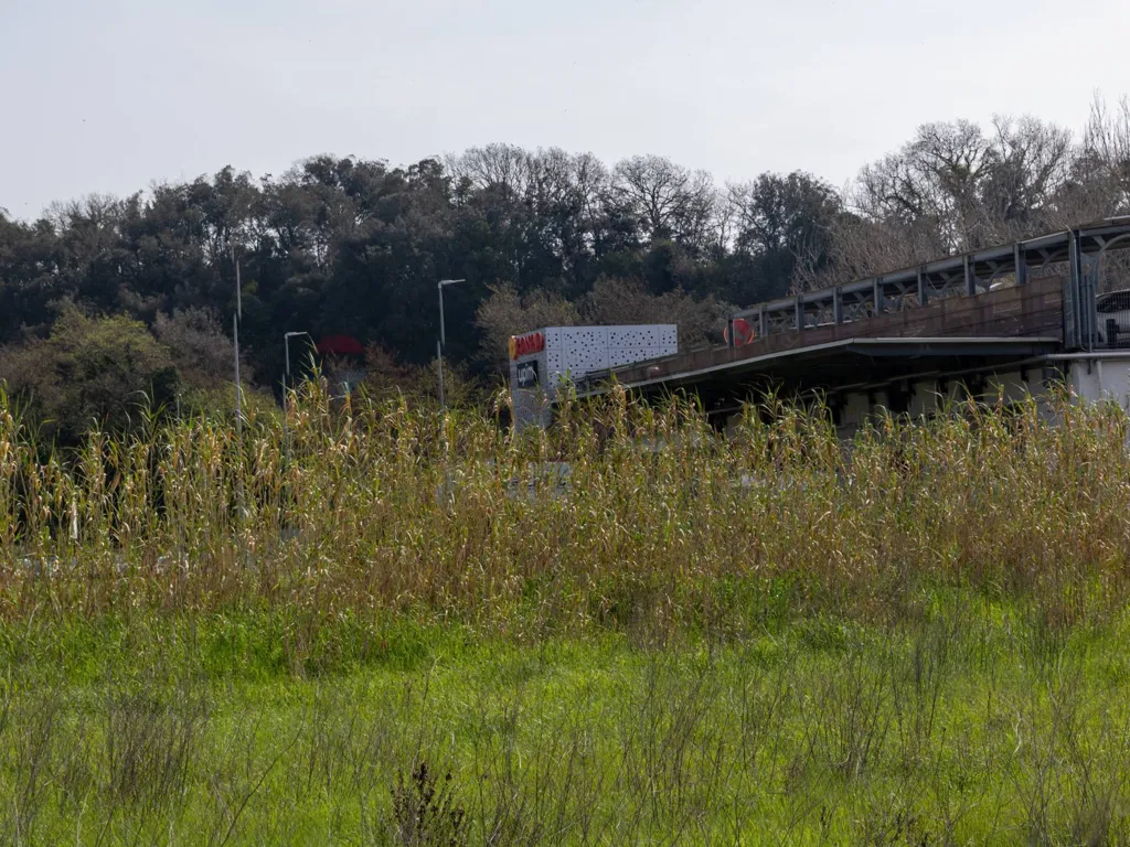 Giardino - Buildable Land with Project in Ardea