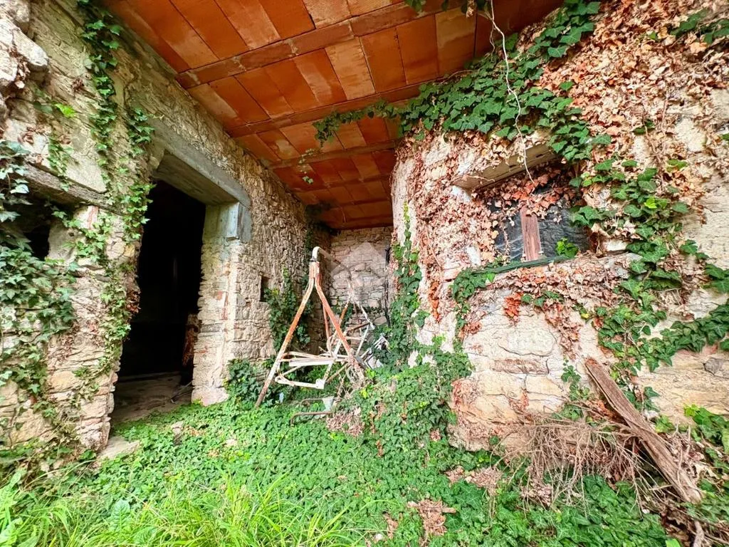Jardin - Rustic Property with Vineyard View in Valdobbiadene