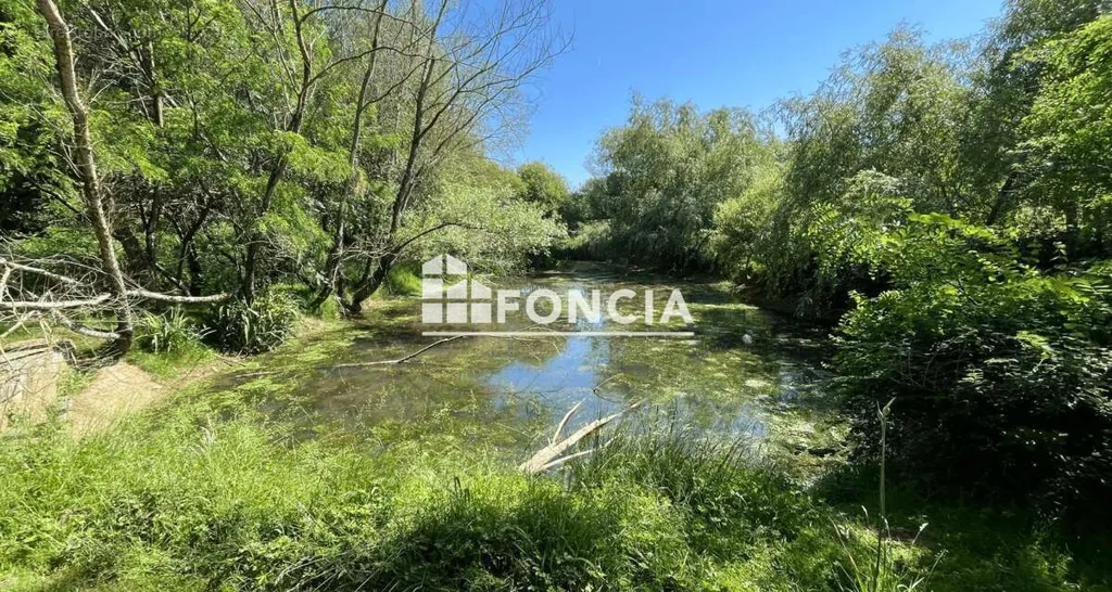 Jardin - Propriété de Caractère avec Piscine à Pamplonne