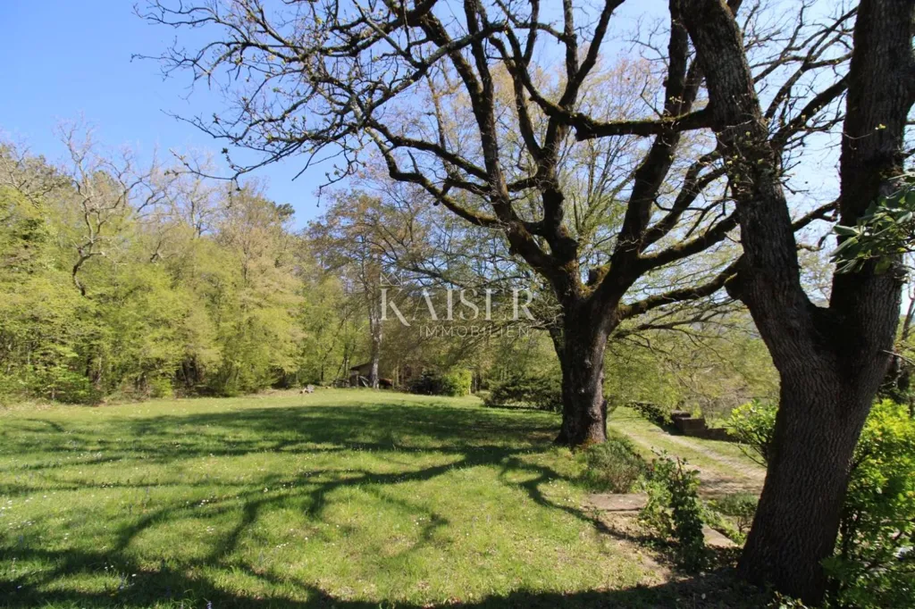 Jardin - Country House with Large Garden in Buzet