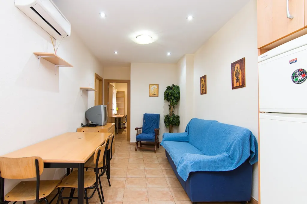 Living Room - Rehabilitated Building with Terraces in Granada Centre