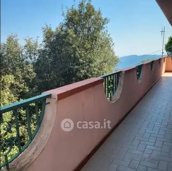 Balcon - Independent House with Olive Grove in Zagarise