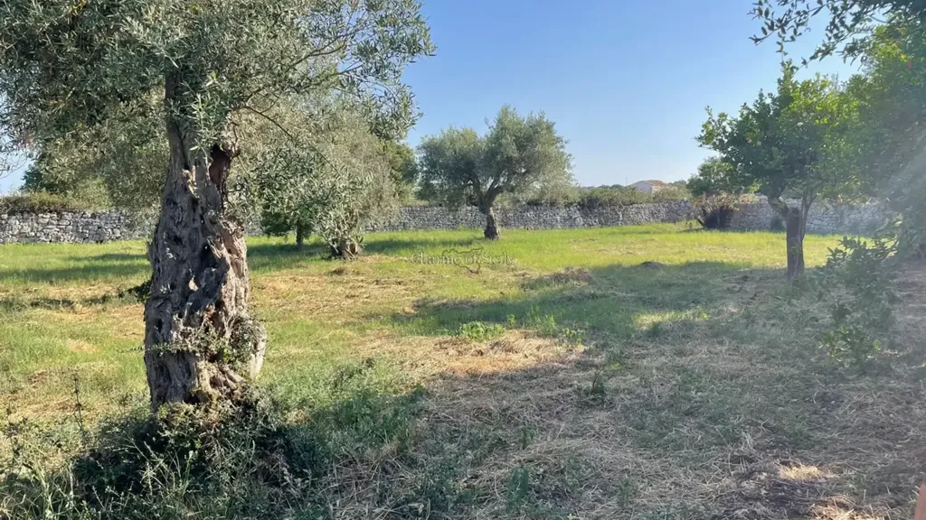land_plot