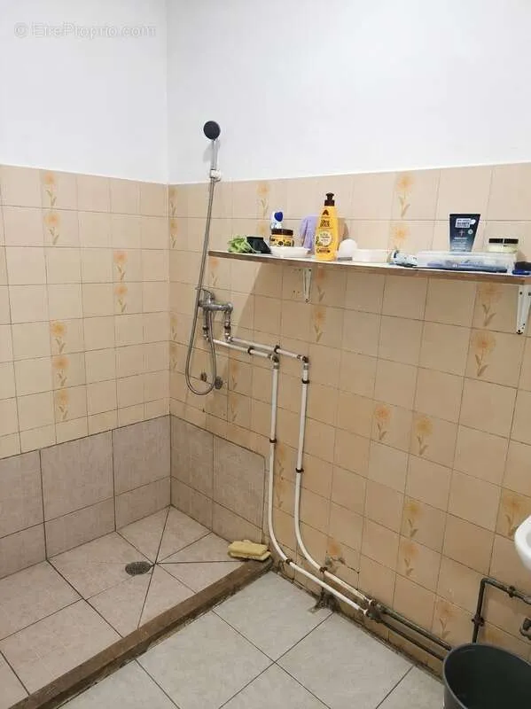 Vannitoad - Rental Property in Central Cayenne