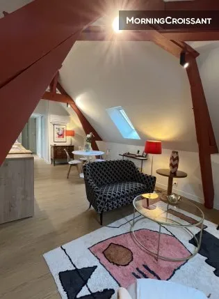 Séjour - Appartement de Charme avec Terrasse dans le Centre de Tours