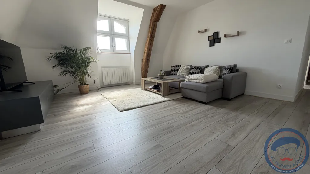 Séjour - Appartement T3 Lumineux au Cœur de Richelieu