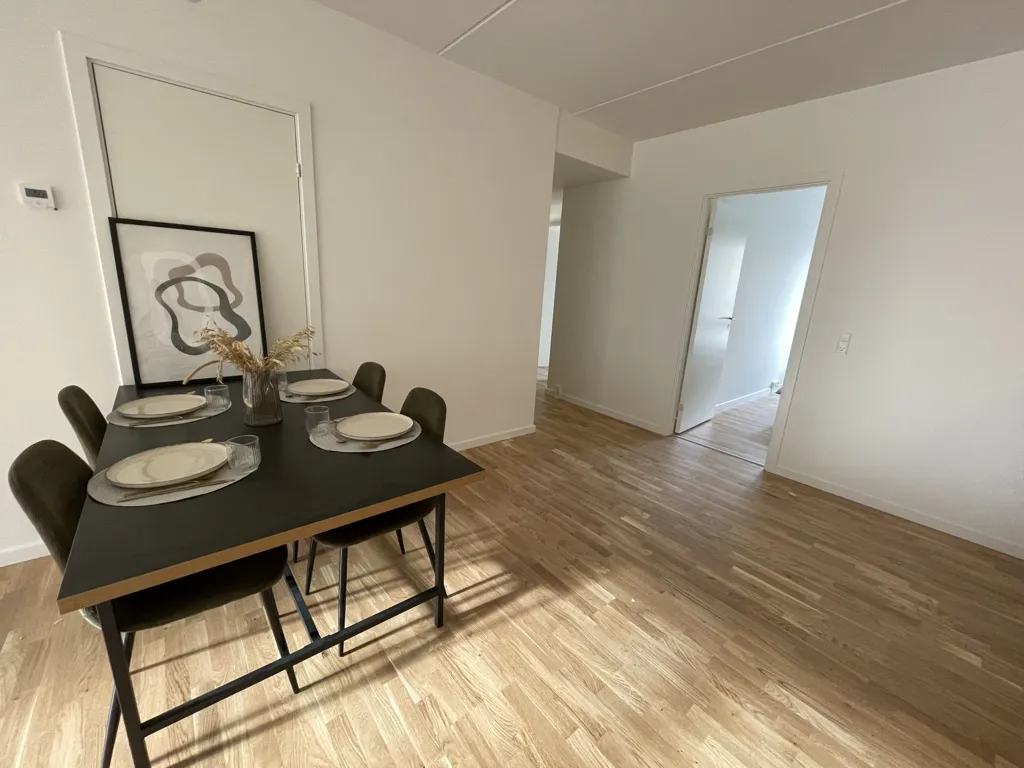 Appartement 3 pièces à Odense