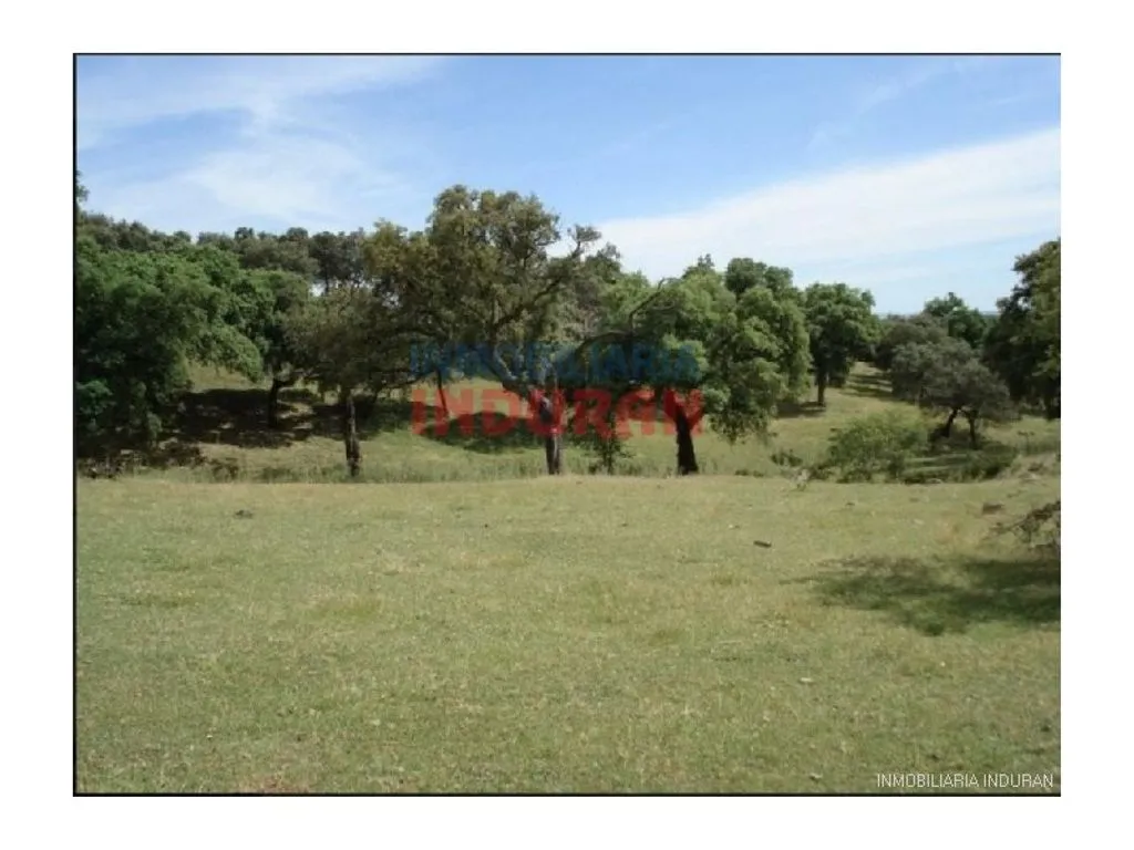 Aed - Luxury Villa with Extensive Land in Cáceres