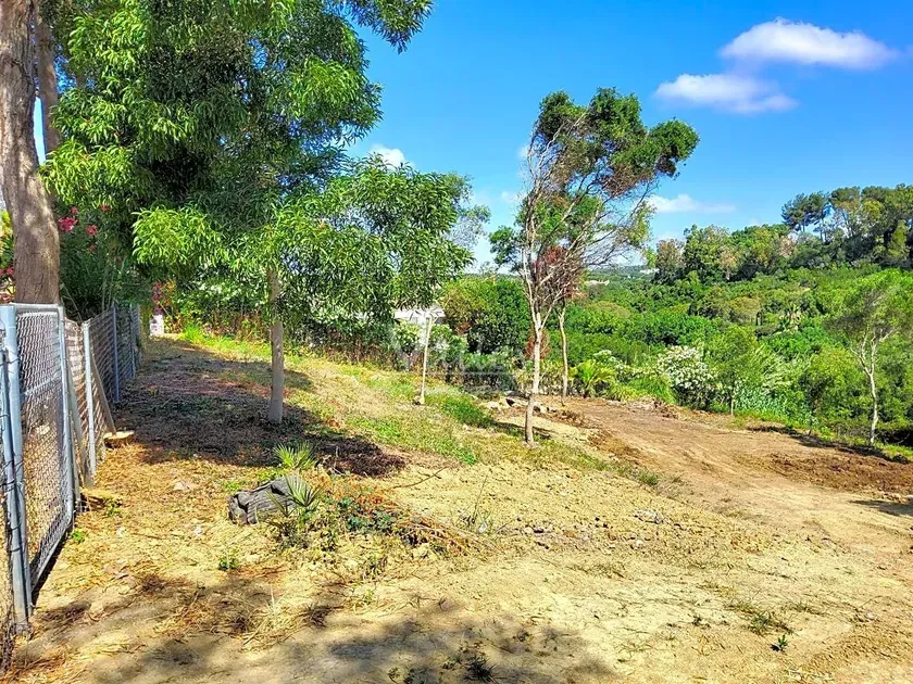 Giardino - Chalet with Garden Views in Sotogrande