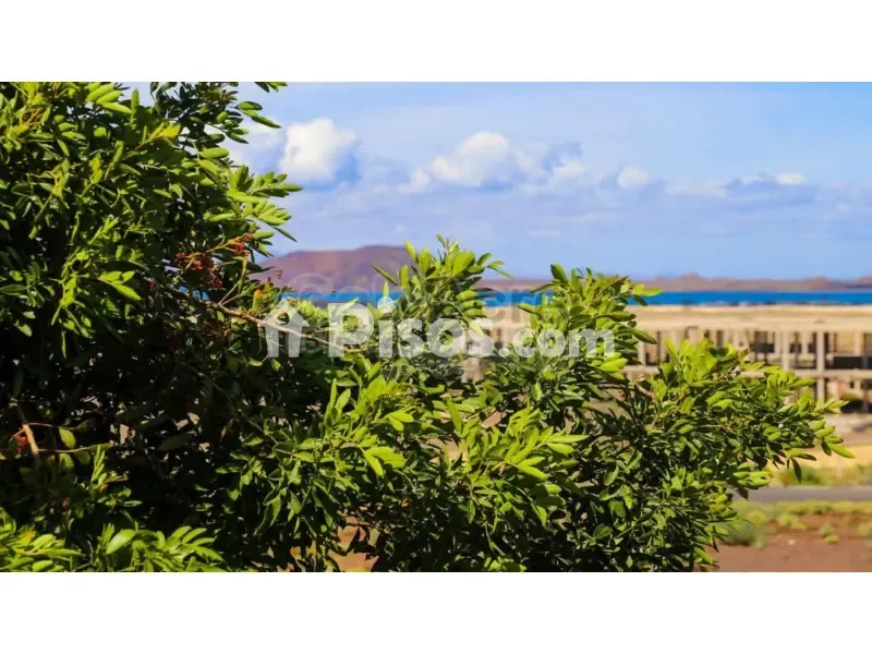 Two-Bedroom Apartment with Pool in Corralejo