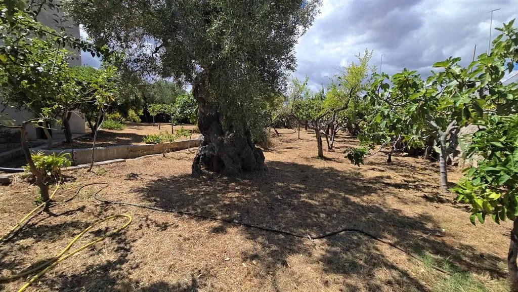 Aed - Apulian Masseria with Sea View in Monopoli