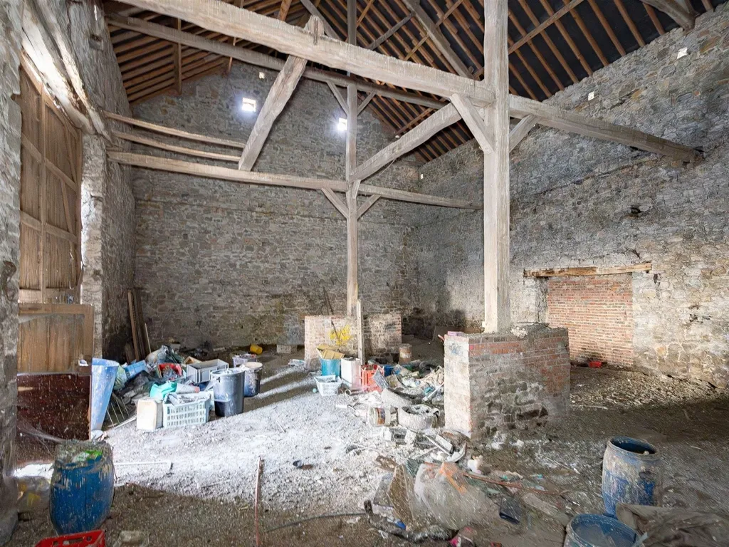 Toad - Historic House with Development Potential in Beauraing