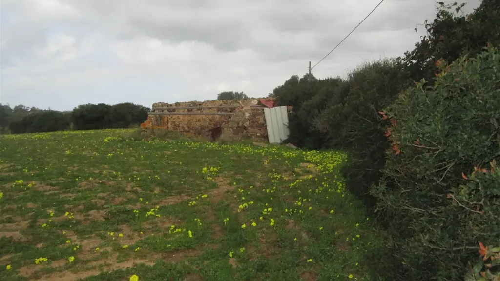 Jardin - Rustic Casale with Large Courtyard in Calasetta