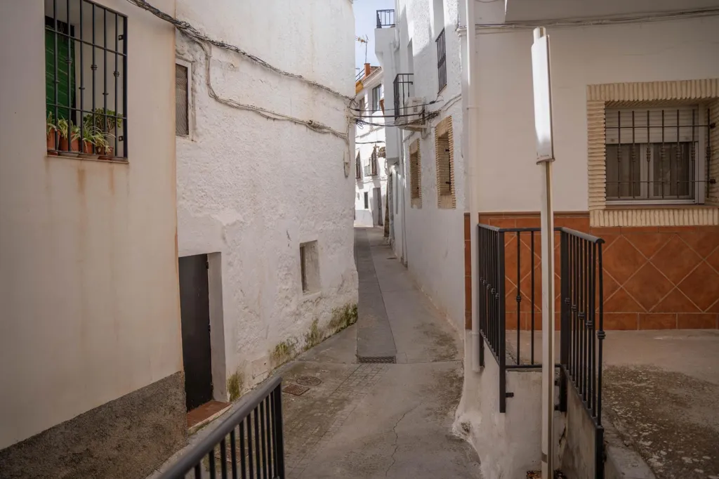 Jardin - Two-Storey House with Terrace in Albuñuelas