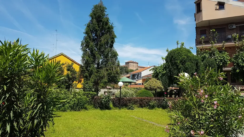 garden