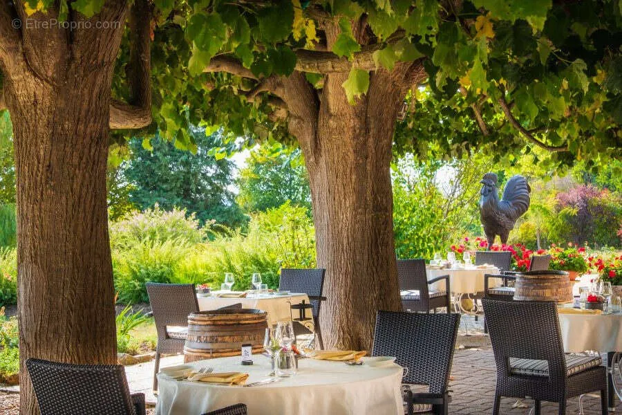 Terrasse - Hôtel-Restaurant avec Vue sur la Loire